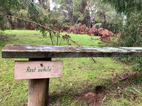 Green grass and a sign reading 'Rest Awhile'